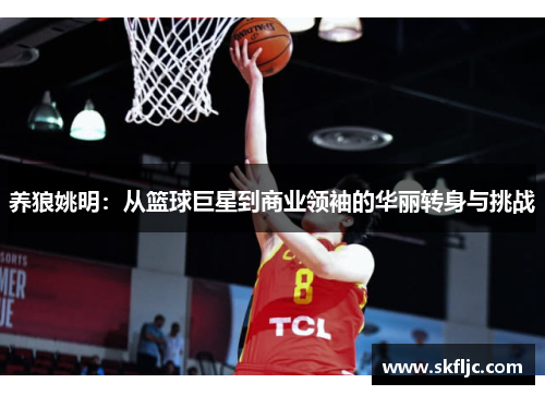 养狼姚明：从篮球巨星到商业领袖的华丽转身与挑战