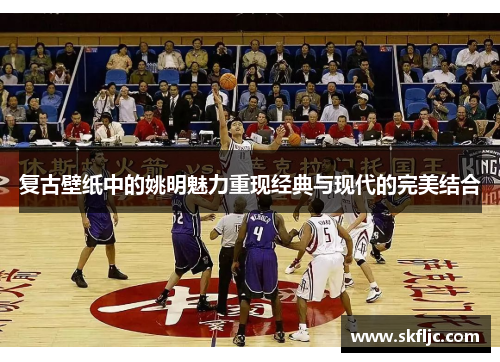 复古壁纸中的姚明魅力重现经典与现代的完美结合