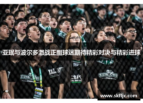 亚珉与波尔多激战正酣球迷期待精彩对决与精彩进球