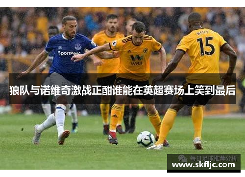 狼队与诺维奇激战正酣谁能在英超赛场上笑到最后