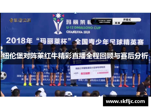 纽伦堡对阵莱红牛精彩直播全程回顾与赛后分析