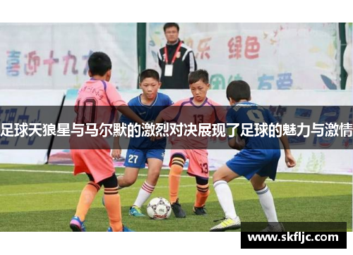 足球天狼星与马尔默的激烈对决展现了足球的魅力与激情